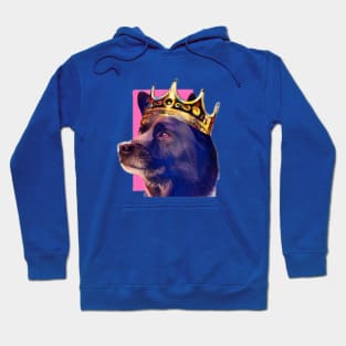 Regal Baloo Hoodie